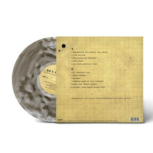 Load image into Gallery viewer, Somedays The Song Writes You (Ltd. Edition Vinyl)
